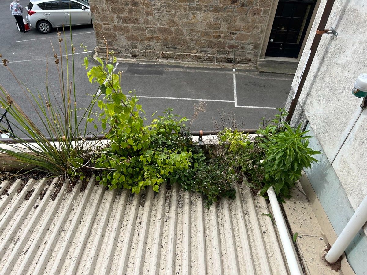 Importance of timely roof leak repairs