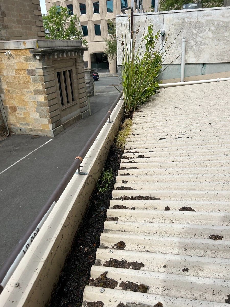 DIY methods for temporary roof leak repairs